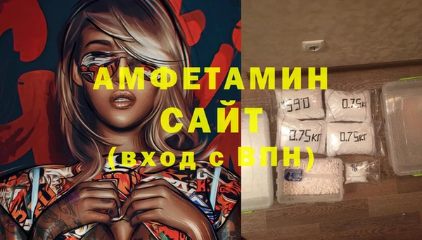 твердый Арсеньев