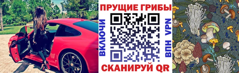 kraken зеркало  Бахчисарай  Псилоцибиновые грибы ЛСД 